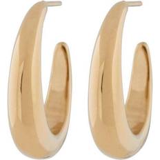 Smycken Edblad Furo Creoles - Gold