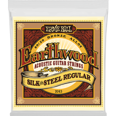 Ernie Ball 2043 Earthwood Silk & Steel Regular
