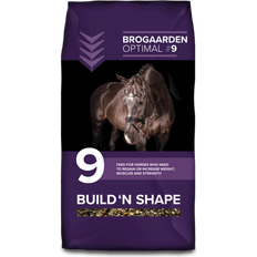 Optimal 9 Build 'n Shape