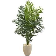 Beige Decorative Items Nearly Natural 5.5' Paradise Palm Tree In Artificial Plant