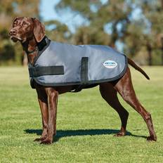 45cm, Dark Grey Comfitec Classic Parka Dog Coat
