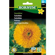Solsikke frø Hornum Solsikke frø, Sunshine Blomsterfrø