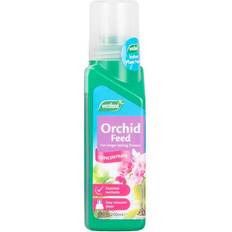 Fertilizzanti Westland Orchid Feed Concentrate