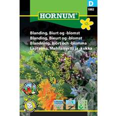 Hornum Blanding, Biurt -blomst D 1882 Blomsterfrø