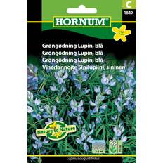 Hornum Grøngødning Lupin, C 1849 Gødning