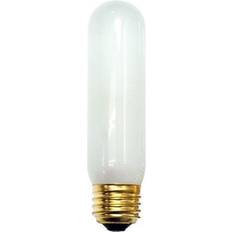 Warm White Incandescent Lamps Bulbrite Medium Base Incandescent Lamps 75W E26