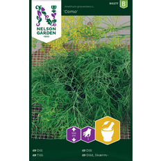 Nelson Garden Krydderurtefrø Nelson Garden Dill 'Como' frö Krydderurtefrø