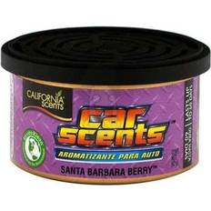 Barbara Berry Car Air Freshener Can