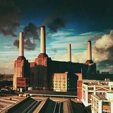 Musica Animals (Vinyl)