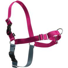 Antidragsele PetSafe Easy Walk Antidragsele Cerise