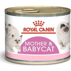 Mother babycat Royal Canin Mother & Babycat Comida Húmeda Para Gatas Lactantes Y Gatitos