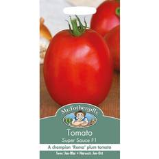 Fothergills Vegetable Seeds Tomato Super Sauce F1 Plum