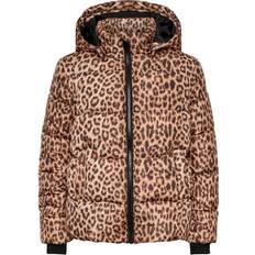 Little Pieces Bella Jacket