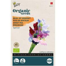 Töpfe, Pflanzen & Saatgut Buzzy® Organic Sweet Pea seed Mix