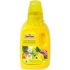 Substral Krukker, Planter & Dyrkning Substral Citrus- middelhavsnæring Gødning