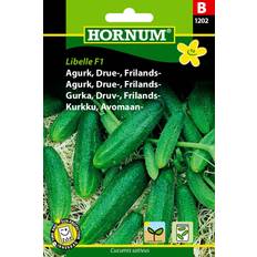 Hornum Agurk, Drue-, Frilands-, Libelle F1 Grøntsagsfrø