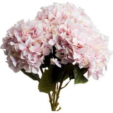 Flores de verano Hill Interiors Single Pink Hydrangea