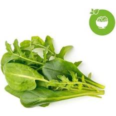 Click & grow smart garden 9 Click and Grow Smart Garden Refill 9-pack Grøntsagsfrø