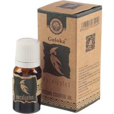 Massage- & Relaxation Products Puckator Goloka Essential Oils 10ml Eucalyptus Set of 12