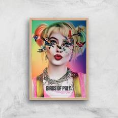 Warner Bros DC Birds Of Prey Giclee Art Print A4 Framed Art