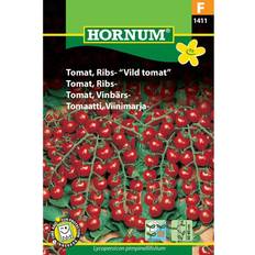 Tomat frø Hornum Tomat, Ribs-, "Vildtomat" F 1411 Grøntsagsfrø