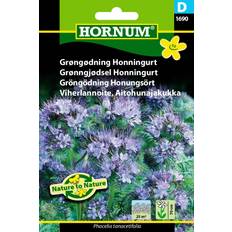 Honningurt Hornum Grøngødning frø, Honningurt Gødning