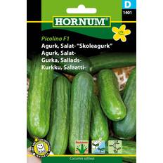 Hornum Agurkefrø, Picolino F1 Skoleagurk Mini Grøntsagsfrø