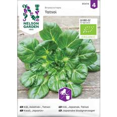 Krukker, Planter & Dyrkning Nelson Garden Fröer Asiatisk kål Grøntsagsfrø
