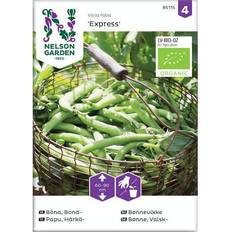 Krukker, Planter & Dyrkning Nelson Garden Økologisk Valsk Bønne frø, Express Grøntsagsfrø