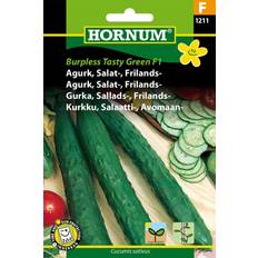 Hornum Agurk, Salat-, Frilands-, Burpless F 1211 Grøntsagsfrø