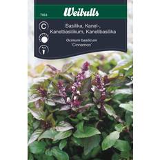Weibulls Græsfrø Weibulls Basilika, Kanel Cinnamon Græsfrø