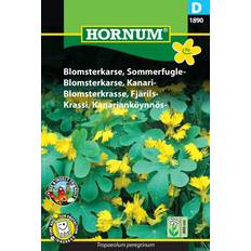 Hornum Blomsterkarse, Sommerfugle D 1890