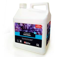 Red Sea Foundation A (Ca/Sr) (5L)