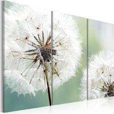 Artgeist billede Fluffy dandelions, lærred Billede