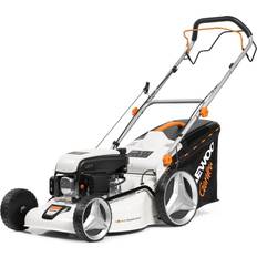Selvkørende Elektriske plæneklippere Daewoo PETROL LAWN MOWER 2.6HP/1.9KW/98.5CM DLM50SP Elektrisk plæneklipper