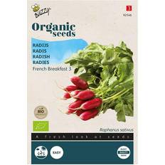 Graines d'herbe Buzzy® Organic Radish Seeds French Breakfast