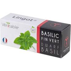 Organic Dwarf Basil Lingot