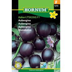 Hornum Aubergine frø, Kaberi TSX 250 Græsfrø