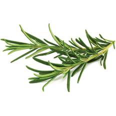 Fertilizzanti Click and Grow Semi Rosmarino 3L
