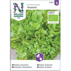 Nelson Garden Frø Nelson Garden Økologisk Endiviesalat frø, Nuance Grøntsagsfrø