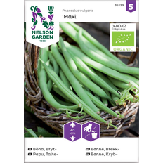 Nelson Garden Böna, Bryt-, Maxi, Organic Grøntsagsfrø