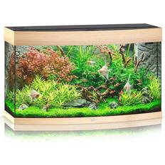 Juwel Acquario Vision 180 LED Legno Chiaro
