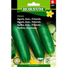 Hornum Agurk, Asie-, Frilands-, Fatum B Grøntsagsfrø