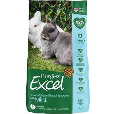 Excel junior dværg kanin 3