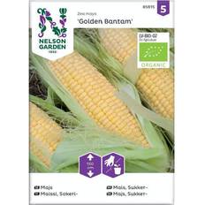 Nelson Garden Økologisk Sukkermajs frø, Bantam Grøntsagsfrø