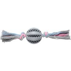 Companion Dental Chewing Ball on Rope