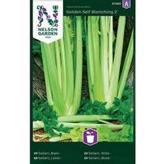 Nelson Garden Fröer Blekselleri Self Blanching