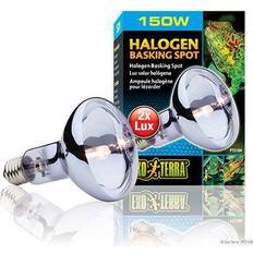 Halogen Lamps Exo Terra Sun Glo Halogen 150 watt