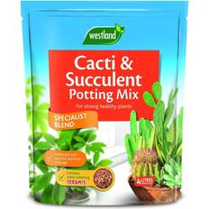 Soil Westland Cacti & Succulent Potting Mix