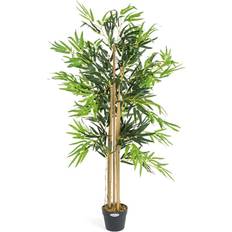 Bamboo